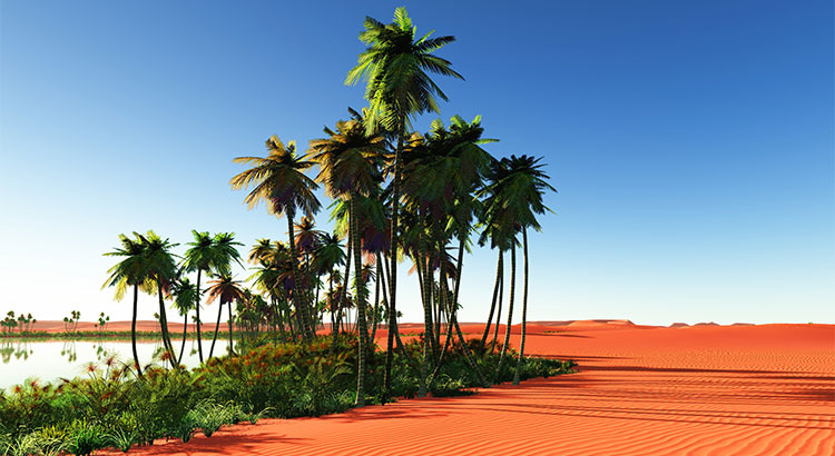 Sellers: Your Home is an Oasis in an Inventory Desert